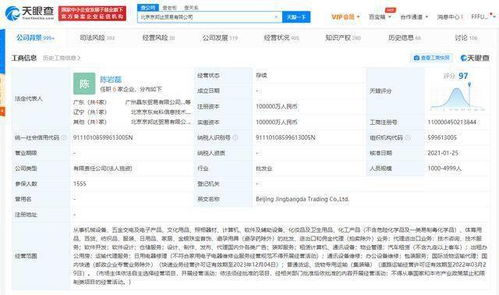 京東關聯公司管理層更迭 王振輝卸任，陳巖磊接棒國內貿易代理業(yè)務